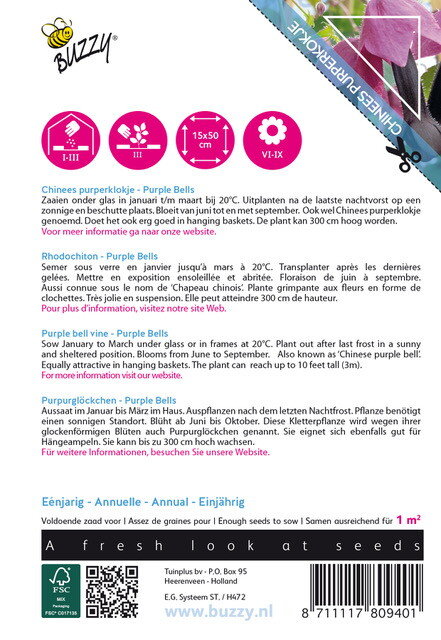 Chinees Purperklokje Zaden, Rhodochiton astrosanguineus