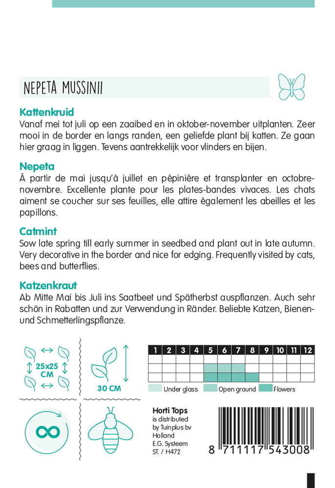 Kattenkruid zaden, Nepeta mussinii