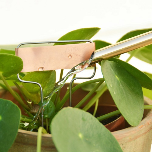 Plantlabels van koper, Set van 6