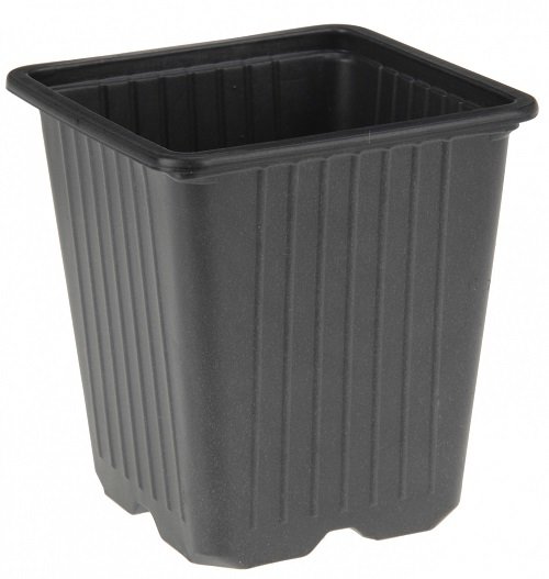 Plastic potjes, Vierkant zwart 16 st. (9x9x10cm)