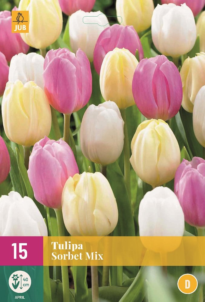 Tulp bloembollen, Sorbet Mix