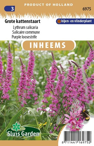stijfheid Verzadigen Handboek Grote Kattenstaart zaden kopen, Lythrum salicaria | Moestuinland