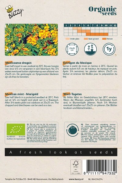 Mexicaanse Dragon, Dragonafrikaantjes | BIO