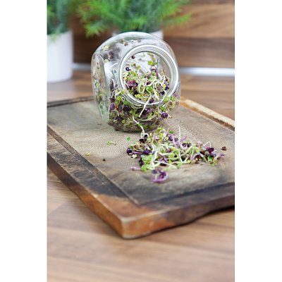 Kiempot, Set van 2 inclusief zaden