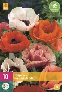 Papaver wortelstokken, Orientale mix (Klaproos)