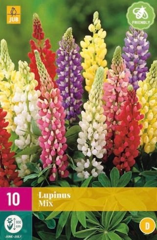 Lupine wortelstokken, Gemengd (mix) 