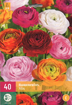 Ranonkel bloembollen, Ranunculus mix (40st.)