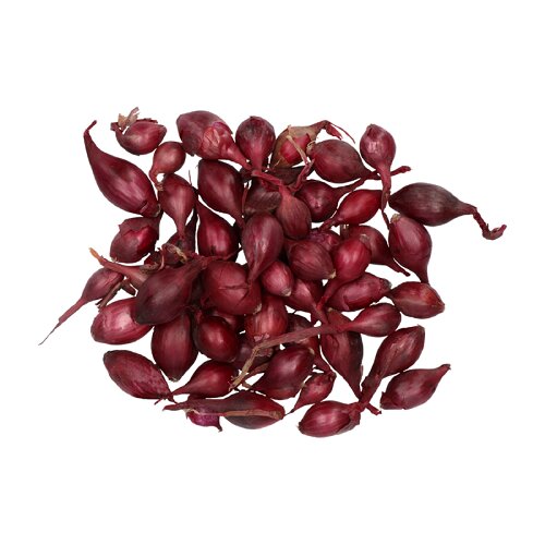 Winter Plantuien, Red Arrow - Akado (250 gram)