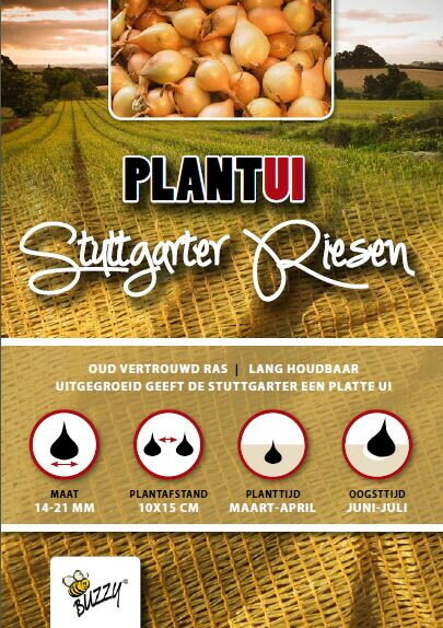 Plantuien, Stuttgarter Riesen (500 gram)