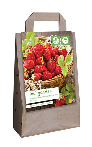 Garden Bag, Aardbei Maxim (10 planten)
