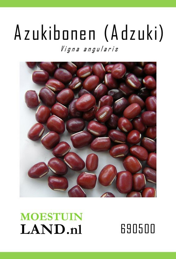 Delegatie Arbeid rechtdoor Azukibonen zaden kopen, Vigna angularis (BIO) | Moestuinland