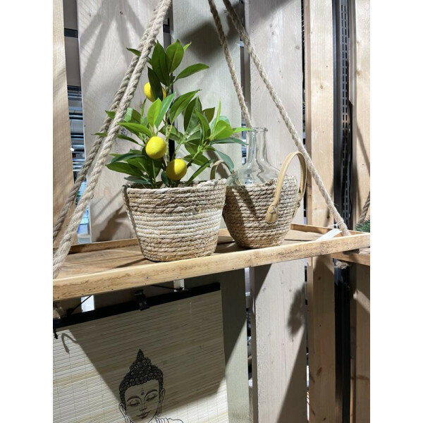 Kunstplant, Citroen plantje (40 cm)