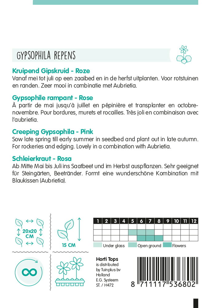 Gipskruid zaden, Kruipend (Roze)