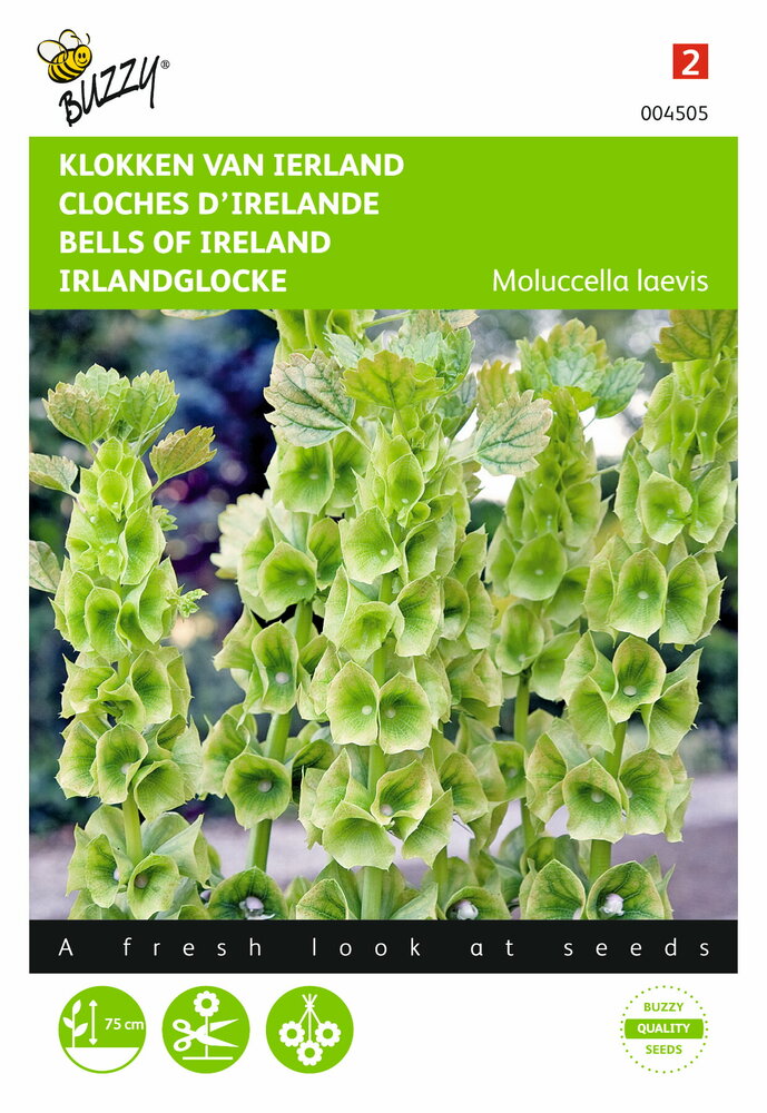 Moluccella zaden, Klokken van Ierland