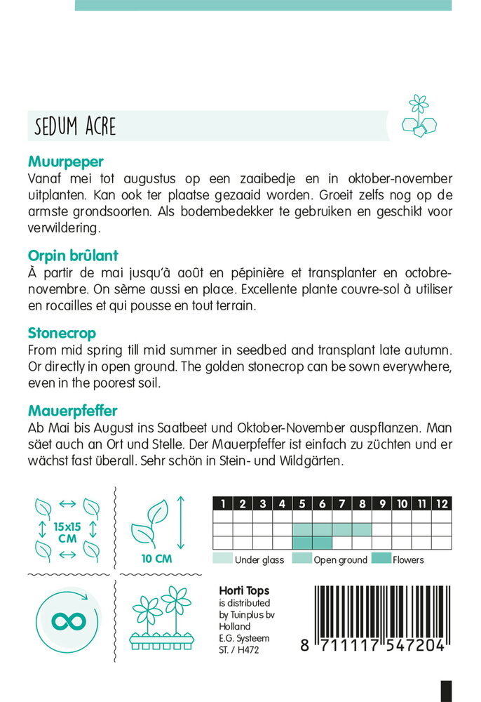 Muurpeper zaden, Sedum acre