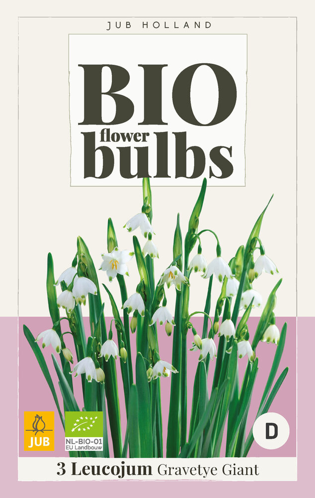 Zomerklokje bloembollen, BIO Leucojum (Gravety Giant)