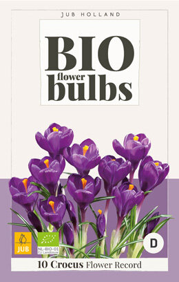 Krokus bloembollen, BIO Flower Record