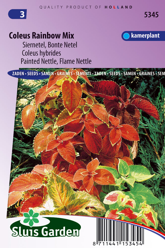 Siernetel zaden, Coleus Rainbow Mix