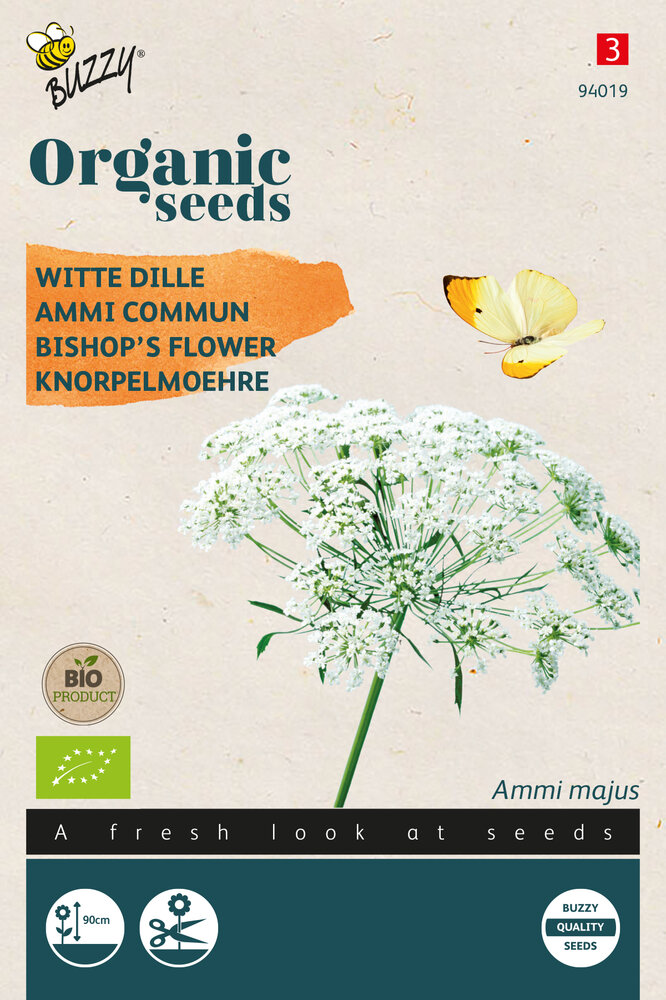 Witte dille zaden, Ammi Majus (Kantbloem) | BIO