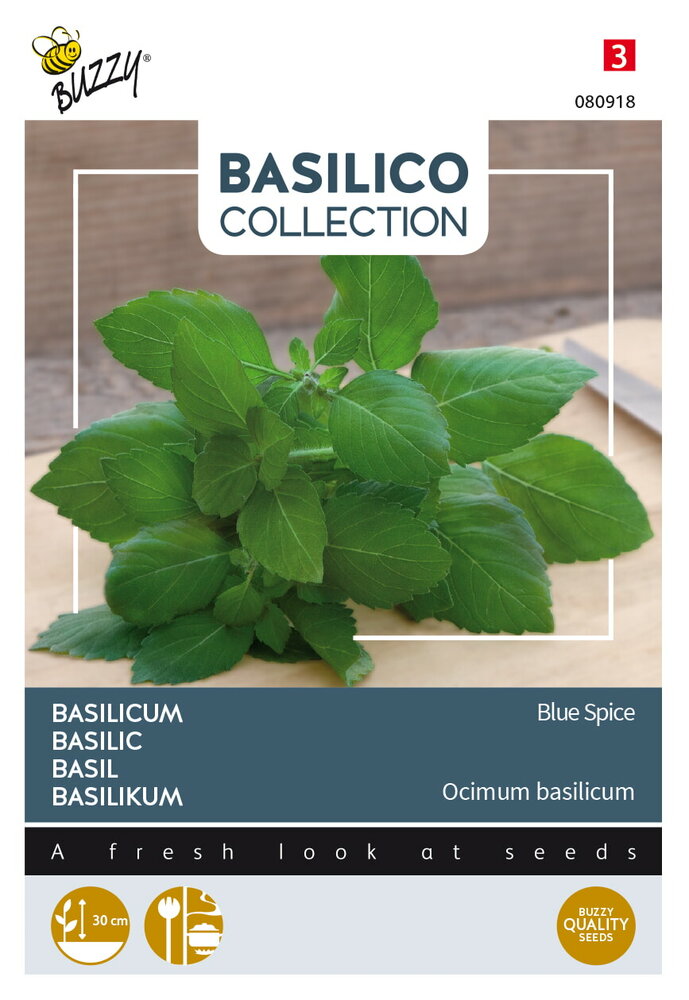 Basilicum zaden, Blue Spice (Vanille)