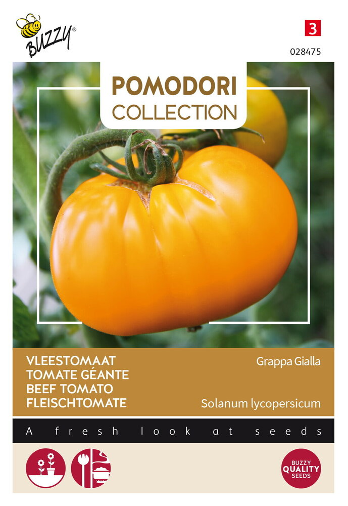 Tomaat zaden, Brandywine Yellow (tomaten)