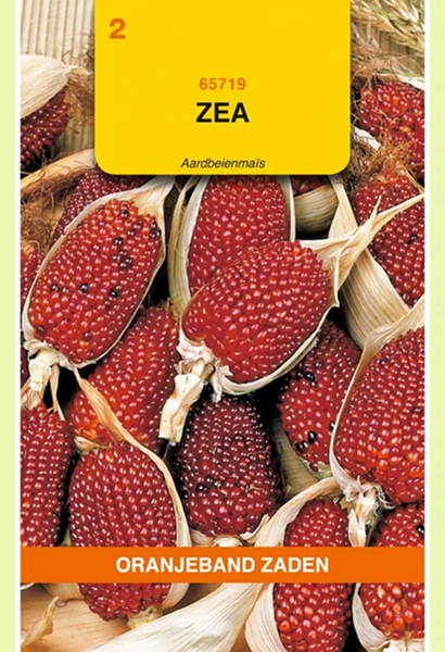 Siermais zaden, Aardbeienmais (Zea)