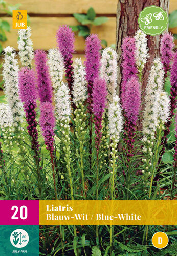 Liatris bloembollen, Blauw-wit mix (20 st.)