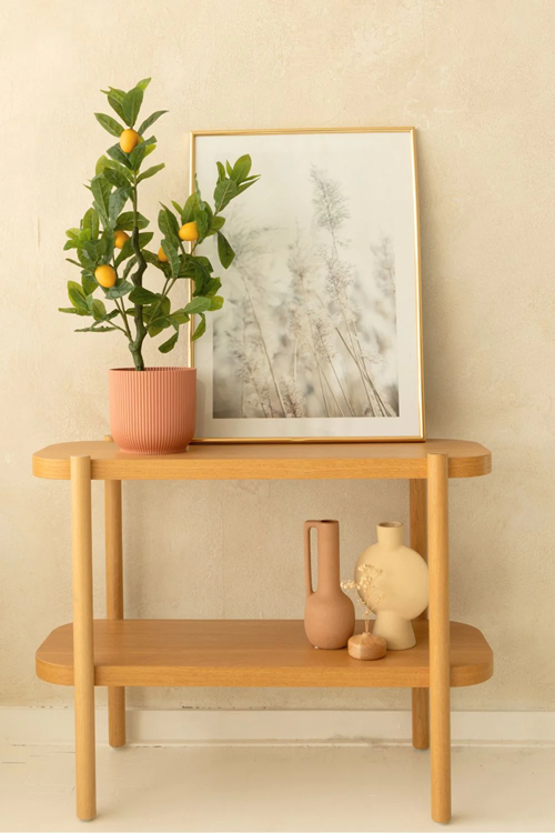 Kunstplant, Citroen plant (70cm)