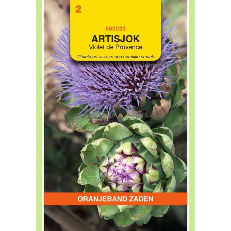 Artisjok Zaden, Violet de Provence