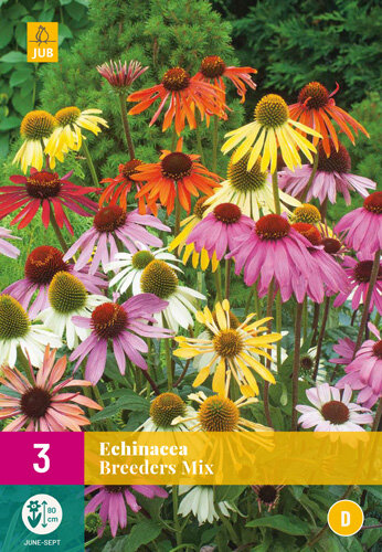 Zonnehoed knollen, Breeders mix (Echinacea)