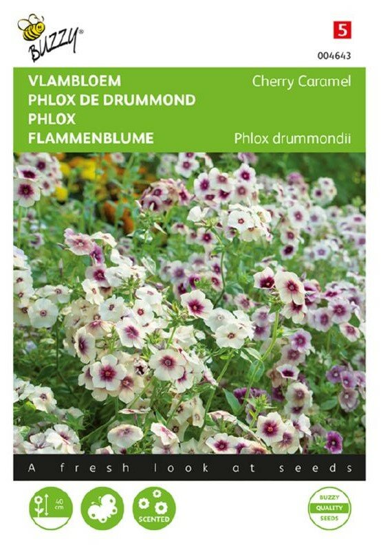 Phlox zaden, Cherry Caramel (Vlambloem)