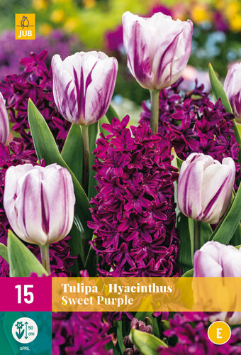 Tulp / Hyacint Bloembollen, Mix Sweet Purple