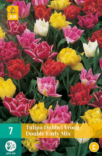 Tulp bloembollen, Dubbele Vroege Mix