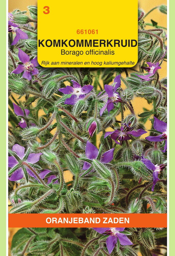 Komkommerkruid zaden, Purple (Borago)