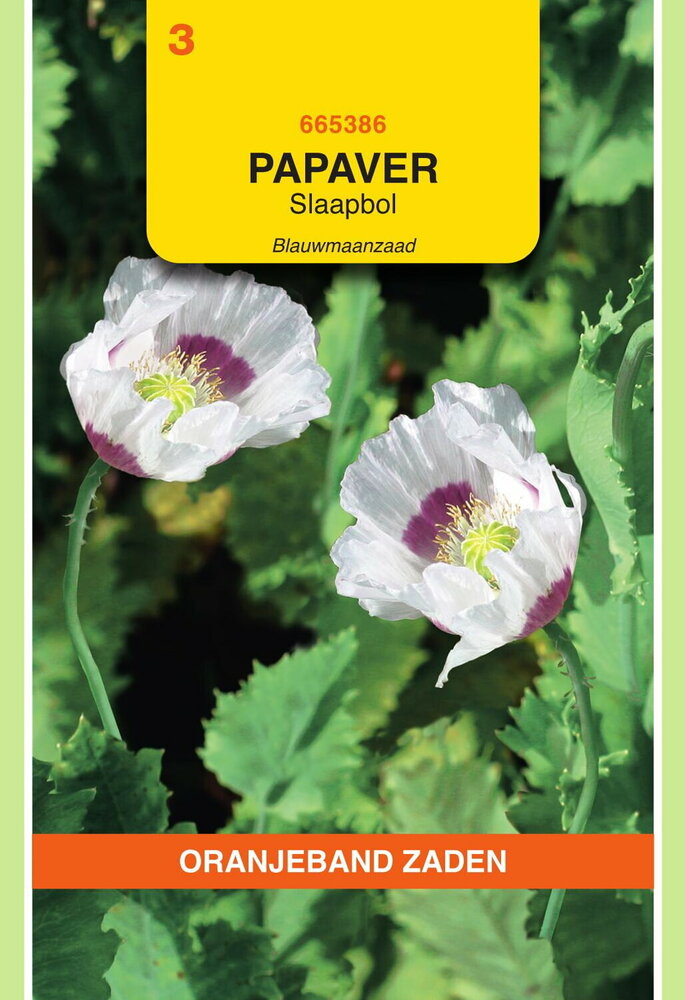 Papaver zaden, Blauwmaanzaad (maanzaad)