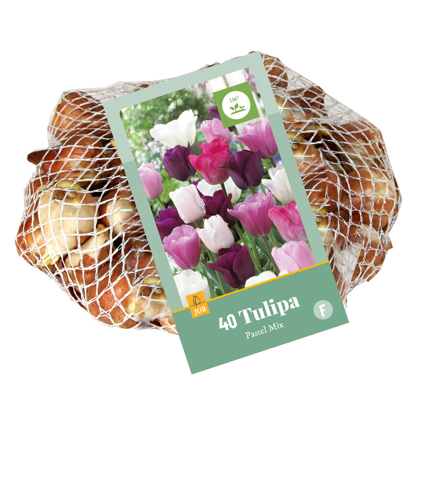 Tulp bloembollen, Pastel mix (40 stuks)