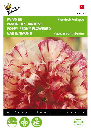 Papaver zaden, Flemish Antique