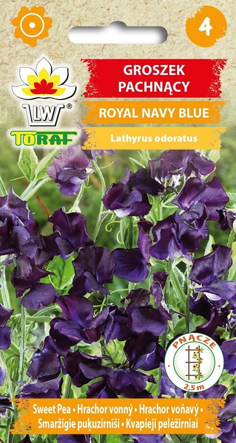 Lathyrus zaden, Royal Navy Blue