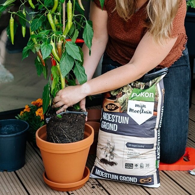 Moestuingrond, Bio Pokon (10 liter)