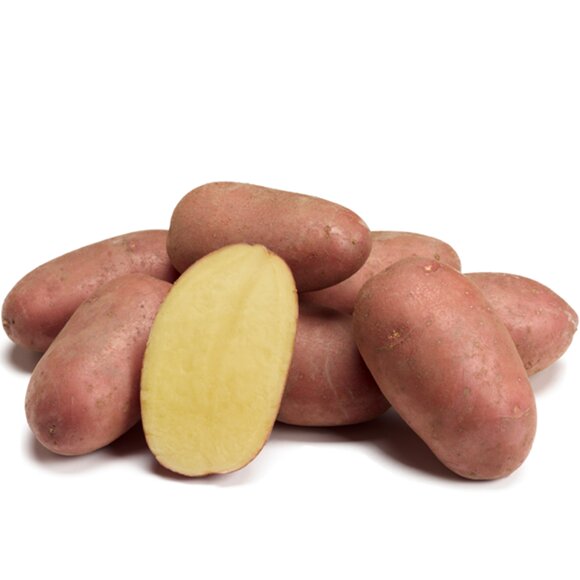 Pootaardappel, Raja/Alouette (1kg) | BIO
