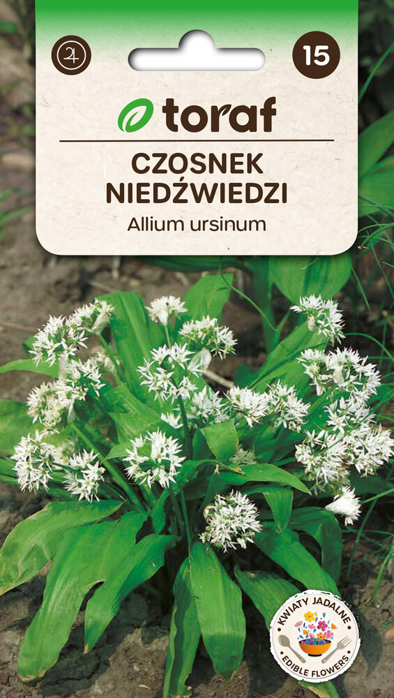 Daslook zaden, Allium ursinum