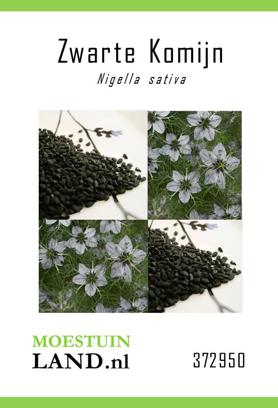 Zwarte Komijn zaden, Nigella sativa