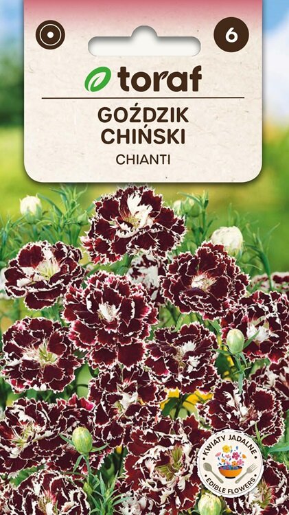 Anjer zaden, Chianti (Chinese)