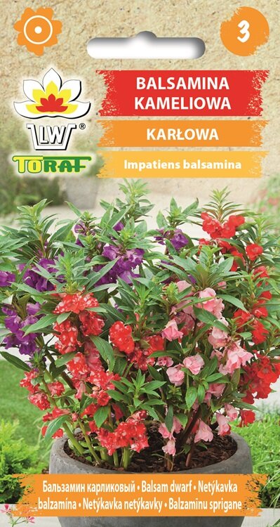 Dwergbalsemien zaden, Impatiens balsamina