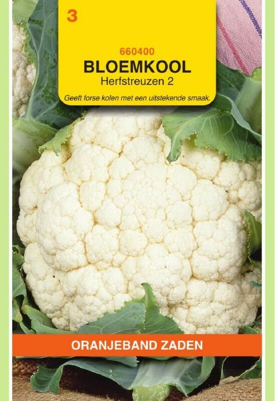Bloemkool zaden, Herfstreuzen 2