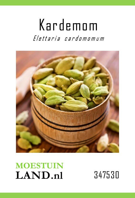Kardemom zaden