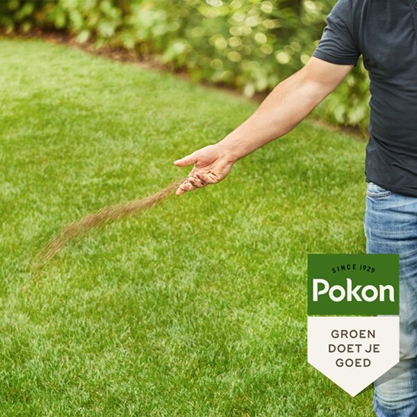 Gazonmest, Pokon (BIO) - 1kg
