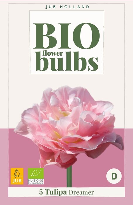 Tulp bloembollen BIO, Dreamer