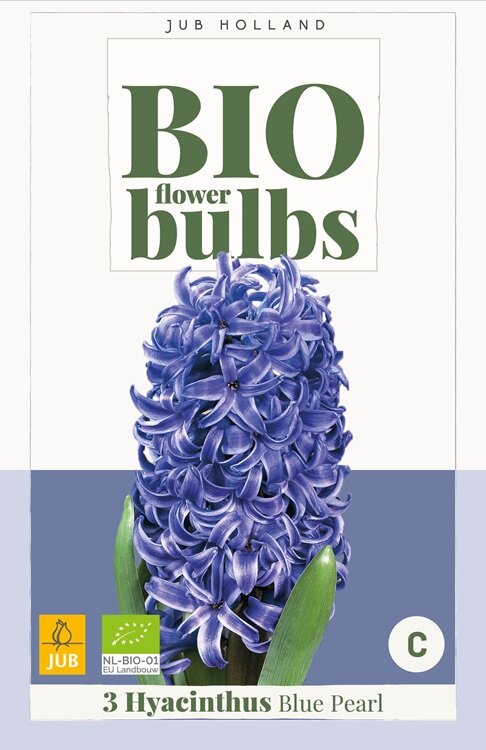 Hyacint bloembollen, BIO Blue Pearl