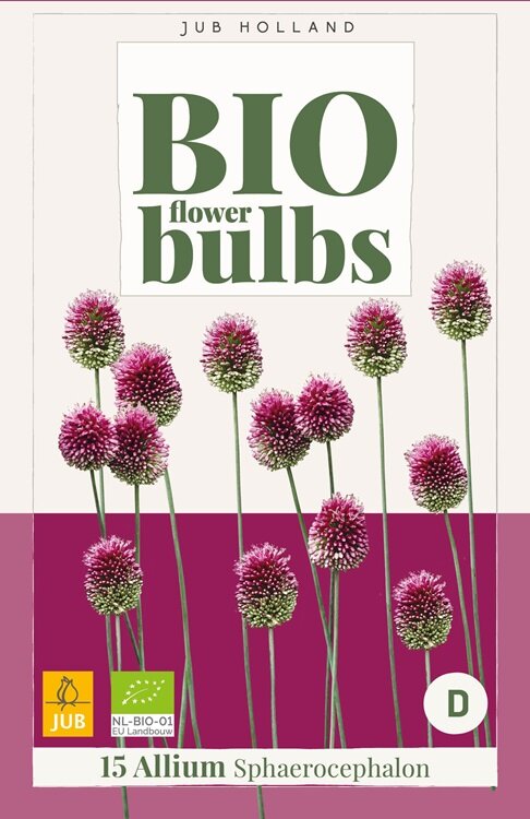 Allium bloembollen BIO, Sphaerocephalon
